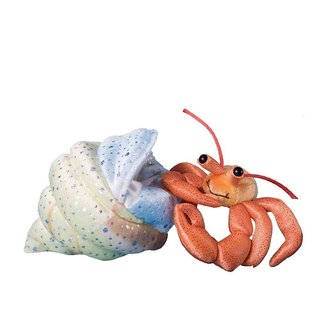 Douglas Toys Henry Hermit Crab with Shell