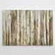 Birch Path - Gallery Wrapped Canvas - Thumbnail 2