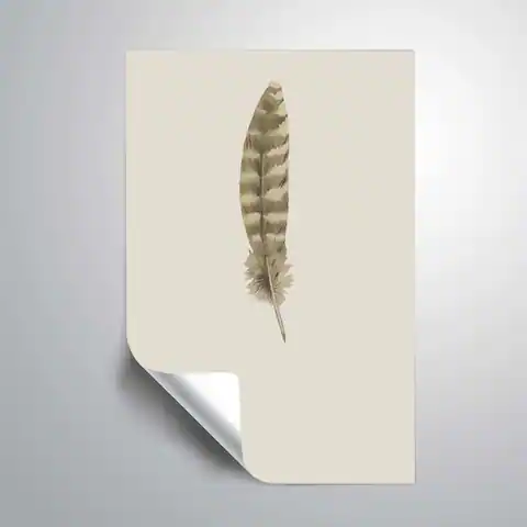 ArtWall 'Feather 07' Removable Wall Art Mural