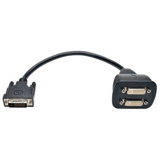 Tripp Lite DVI Splitter Cable, Digital Monitor Y Cable
