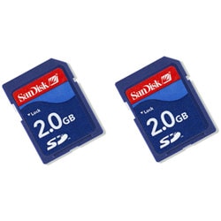 SanDisk 2GB Secure Digital Memory Card (Case of 2)
