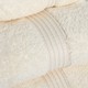 Superior Collection Luxurious 100-percent Premium Long-staple Combed Cotton Bath Sheet (Set of 2)