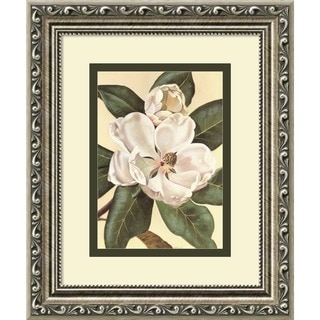 Von Schwarzbek 'Afternoon Magnolia' Framed Art Print