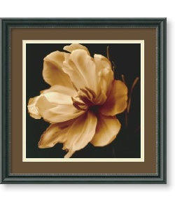 Charles Britt 'Timeless Grace III' Framed Art Print