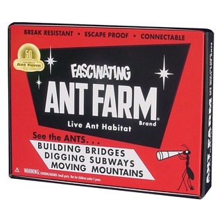 Vintage Ant Farm