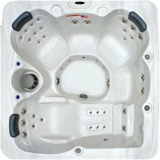 Home and Garden 5-person 51-jet Spa with Stainless Jets and Ozone Included