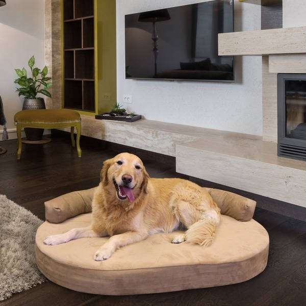https://greatofferstock.com/ostkak1/images/products/5670430/Integrity-Bedding-Orthopedic-Memory-Foam-Joint-Relief-Bolster-Dog-Bed-3beb3e3e-3eaa-470d-a555-66e8826bf0f1_600.jpg