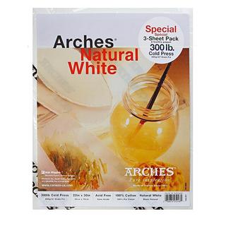 Arches 22-inch x 30-inch Cold Press Watercolor Paper (3 Sheets)