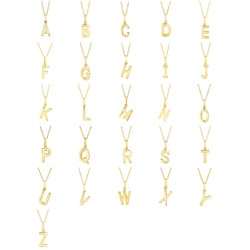 Gold over Silver Diamond Accent Initial Necklace