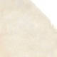 Safavieh Prairie Natural Pelt Sheepskin Wool White Shag Rug (2' x 3')