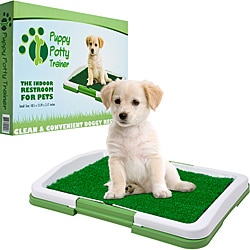 PAW Green/White Plastic Odor-resistant Three-layer Puppy Potty Trainer