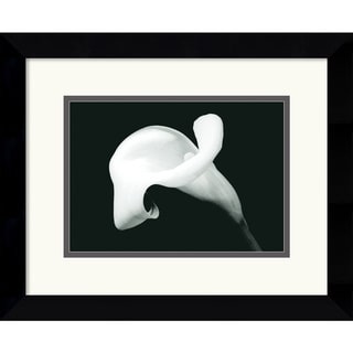 Calla Lily with Stem' 11 x 9-inch Framed Art Print