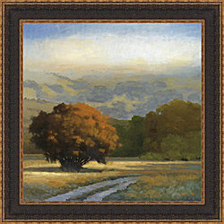 John McCormick 'Potrero Meadow' Framed Print
