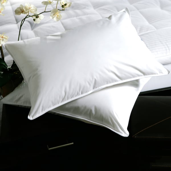 White Plush-top Medium-Density Goose Feather Pillows (Set of 2)