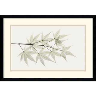 Albert Koetsier 'Japanese Maple' Framed Art Print