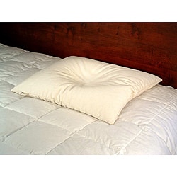 Bean Products - Wheat Dreamz - White Cotton Buckwheat-filled Pillow