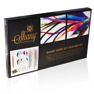 Shany Synthetic Feather Hair Extension Kit (100 pieces)