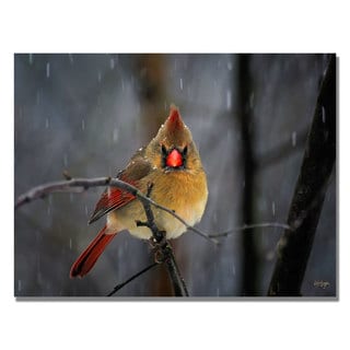 Lois Bryan 'Snowy Cardinal' Canvas Art