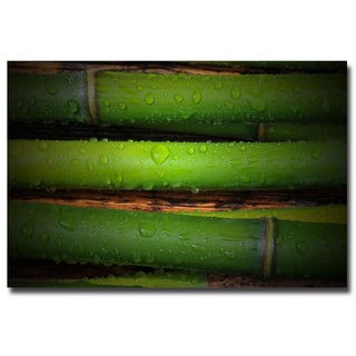 Philippe Sainte Laudy Bamboo Drops Canvas Art