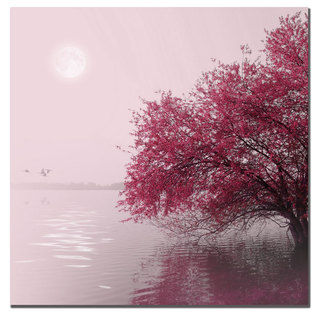 Philippe Sainte-Laudy 'Full Moon on the Lake' Canvas Art