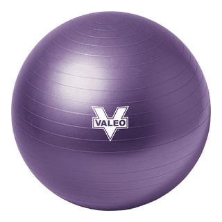 Valeo Burst Resistant Ball (55cm)