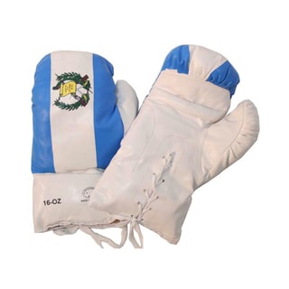 Defender 16oz Guatemala Flag Boxing Gloves