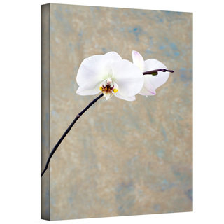 Elena Ray 'Orchid Blossom' Gallery-Wrapped Canvas