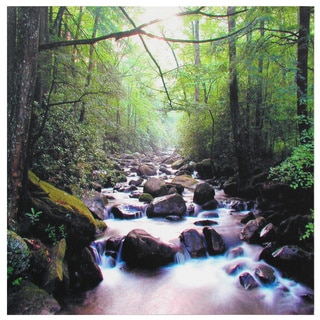River of Life Canvas Wall Art