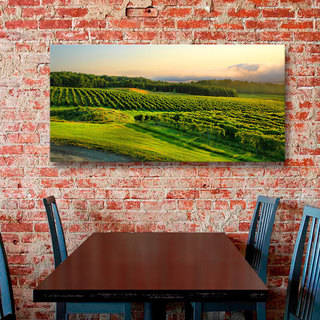Steve Ainsworth 'Hill-Top Vineyard' Gallery-Wrapped Canvas