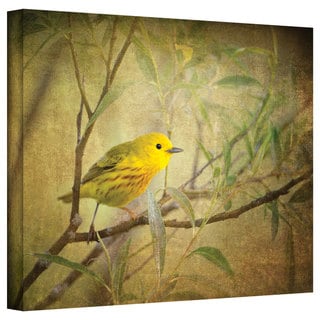 Antonio Raggio 'Bird on Branch' Gallery-Wrapped Canvas