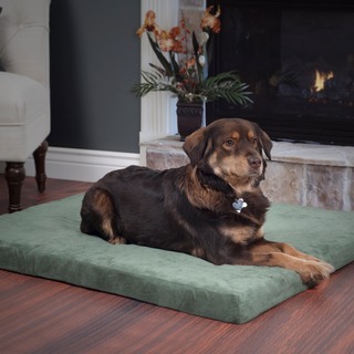 PAW Forest Orthopedic Pallet Pet Bed