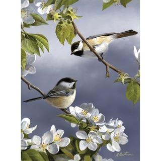 Paint By Number Artist's Collection 9"X12"-Spring Chicadee