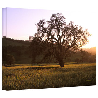 Kathy Yates 'Golden Hour' Gallery-Wrapped Canvas