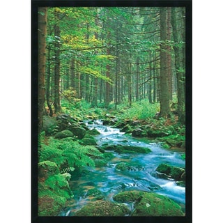 Forest Creek' Framed Art Print with Gel Coated Finish (25 x 37-inch)