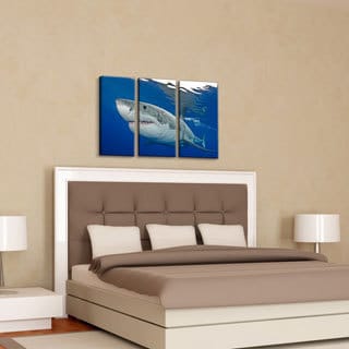 Chris Doherty 'Shark' Canvas Art 3-piece Set