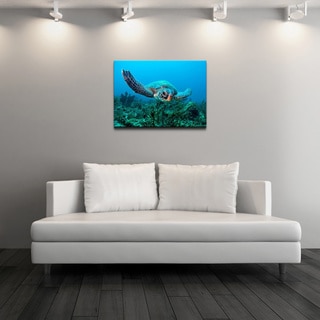 Chris Doherty 'Turtle' Gallery-wrapped Canvas Art