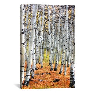 iCanvas Autumn In Aspen' Canvas Print Wall Art