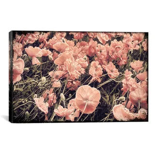 iCanvas Mindy Sommers 'Ginger Poppies' Canvas Art Print