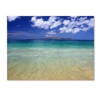 Pierre Leclerc 'Hawaii Blue Beach' Canvas Art