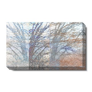 Studio Works Modern 'Winter Branches' Gallery Wrapped Canvas Art