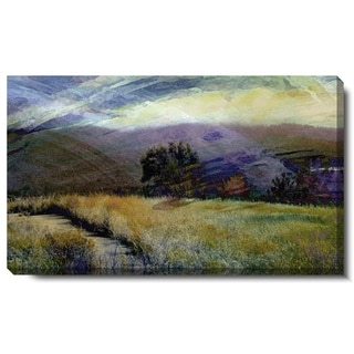 Studio Works Modern 'Sonoma Meadow' Gallery Wrapped Canvas Art