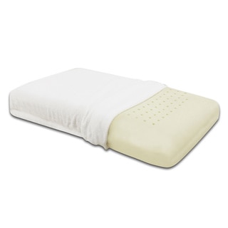 PostureLoft Leigh Queen-size Ventilated Memory Foam Pillow