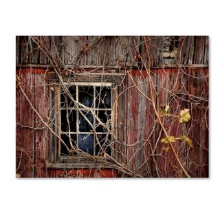 Lois Bryan 'Old Barn Window' Canvas Art