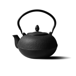 Cast Iron 3-liter 'Hakone' Teapot/ Wood Stove Humidifier