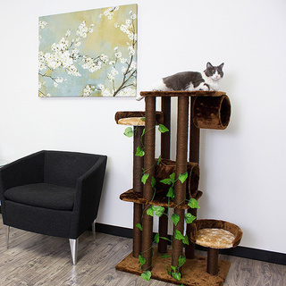 Kitty Mansions Oak Cat Tree Furniture