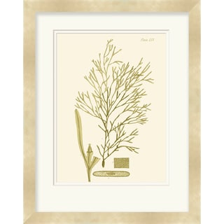 Vision Studio 'Seaweed' Open Edition Giclee Print