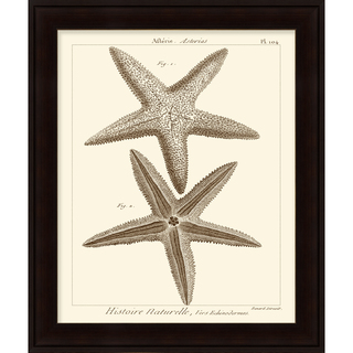 Vision Studio 'Starfish' Open Edition Giclee Print