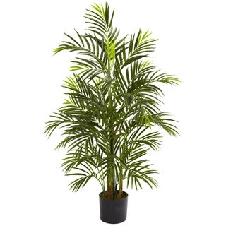 3.5-foot Areca Palm (Indoor/Outdoor)