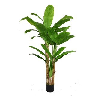Laura Ashley 72-inch Banana Tree with Real Touch Leaves
