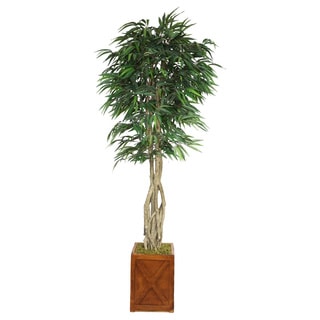 Laura Ashley 87-inch Tall Willow Ficus with Multiple Trunks